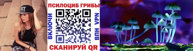 Купить  Люберцы  Галлюциногенные грибы MAGIC MUSHROOMS 